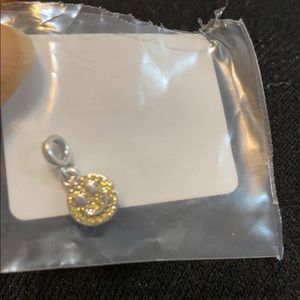 Pandora charm